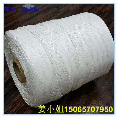 雙螺桿電纜填充繩大棚繩拉絲制繩生產(chǎn)設(shè)備 塑料填充繩生產(chǎn)線(xiàn)機(jī)械